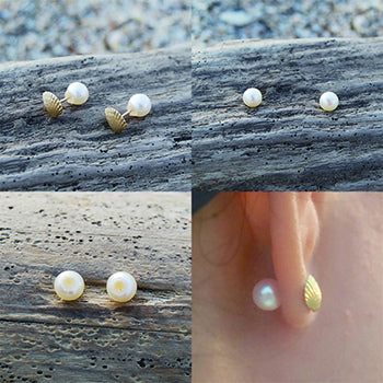 Shell Earring