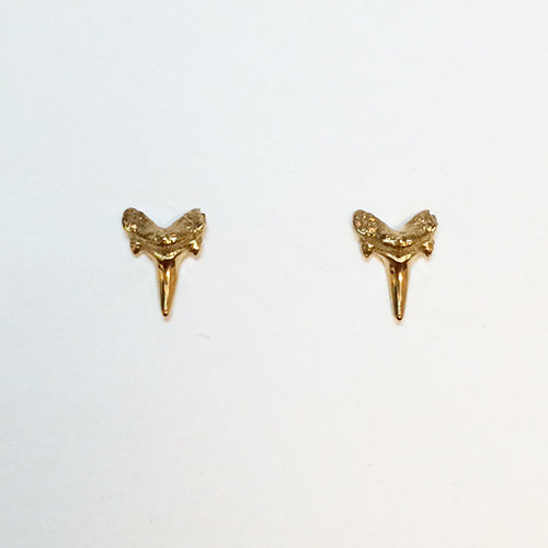 Shark tooth Earring