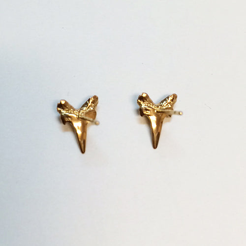 Shark tooth Earring