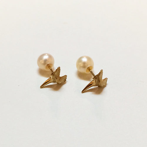 Shark tooth Earring